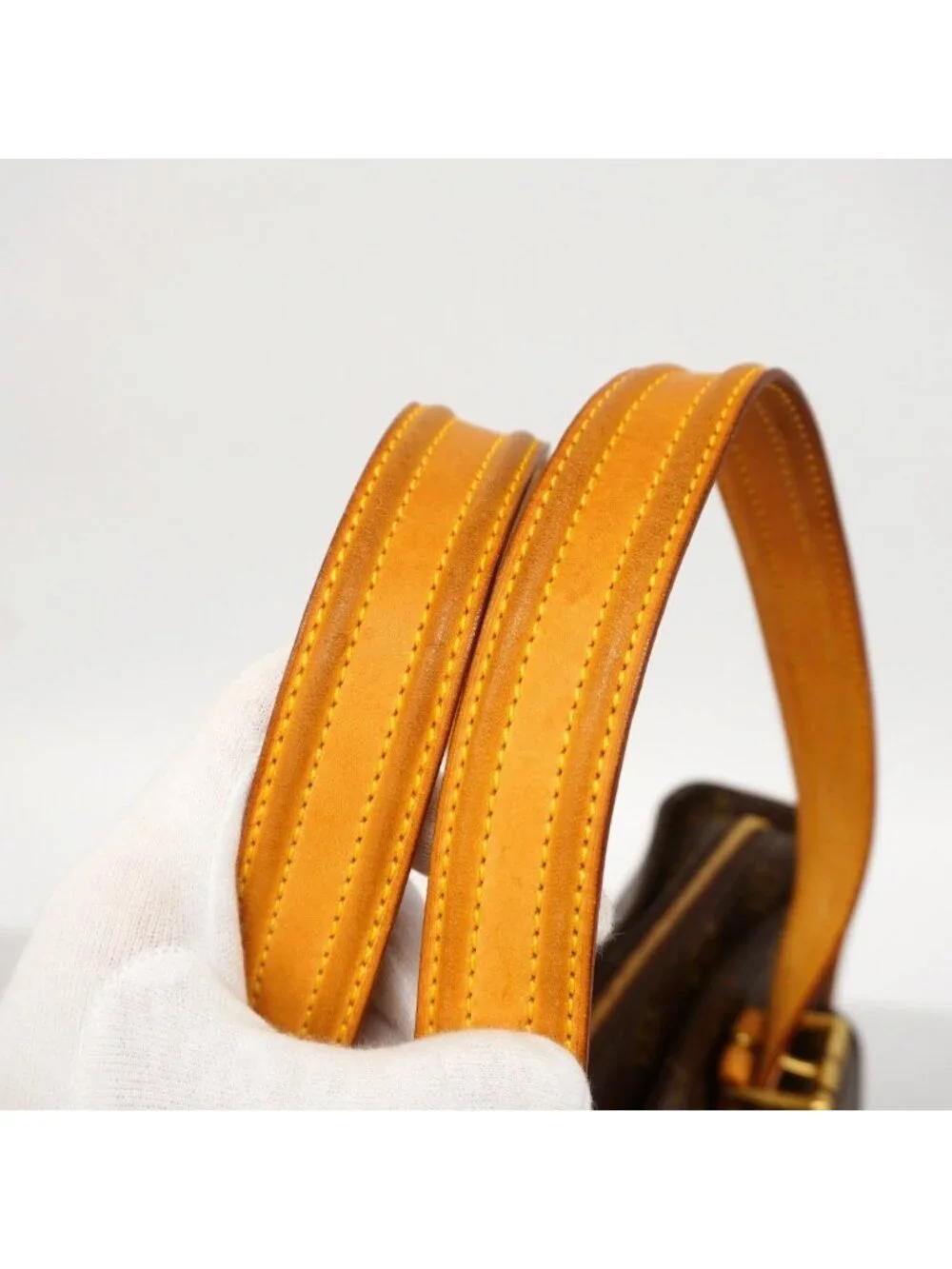Louis Vuitton Tote Monogram Multiplicity Brown